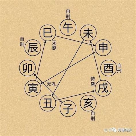 巳寅|分解十二地支最深刻的解读3（寅）